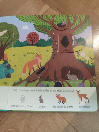 Solapas al aire libre