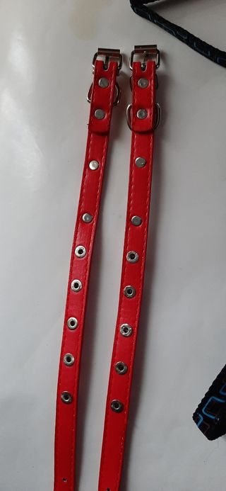 Correas y cinta perro ó gato. Se venden juntas.