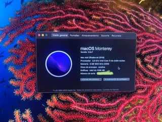 MAC MINI