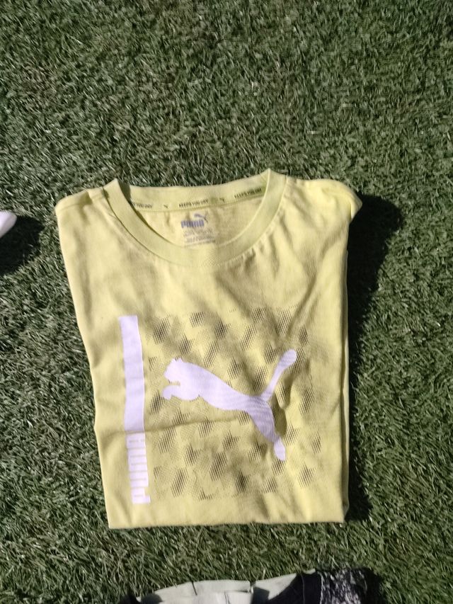 camisetas manga corta 12 14