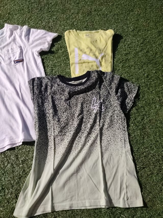 camisetas manga corta 12 14