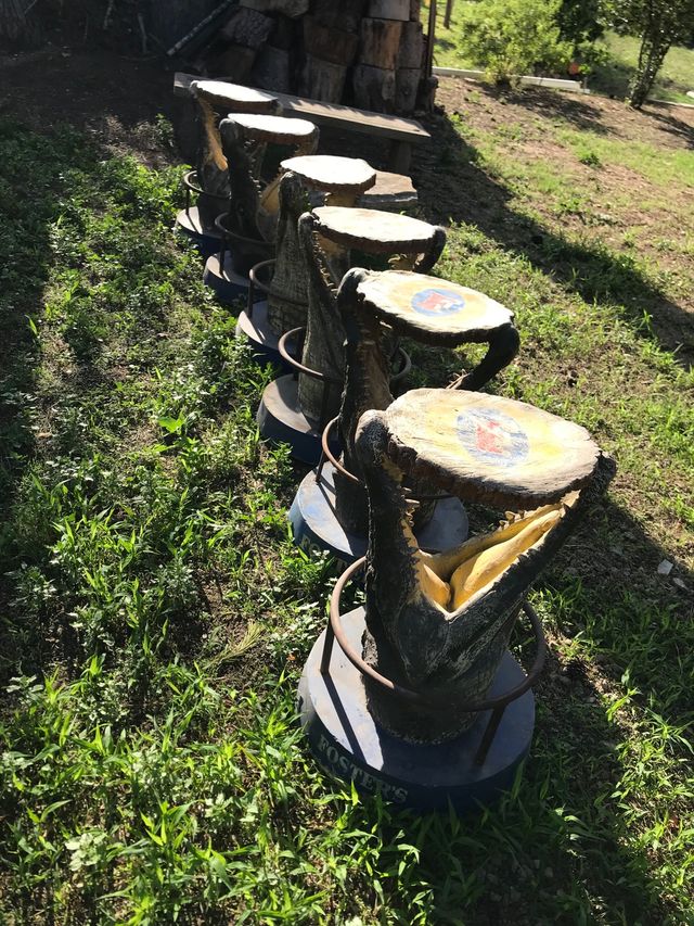 Silla , banqueta ,taburete Cocodrilo