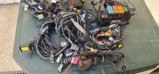 Cablagem portas R. Laguna II.