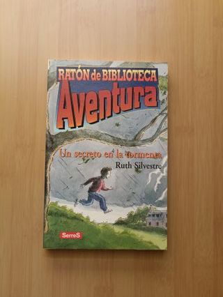 LIBRO "UN SECRETO EN LA TORMENTA"