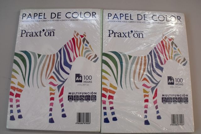 100 HOJAS A-4 10 COLORES