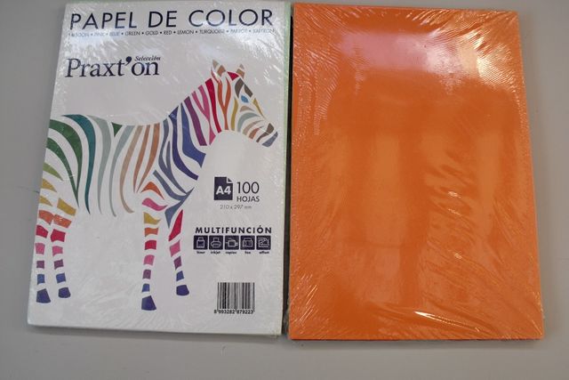 100 HOJAS A-4 10 COLORES