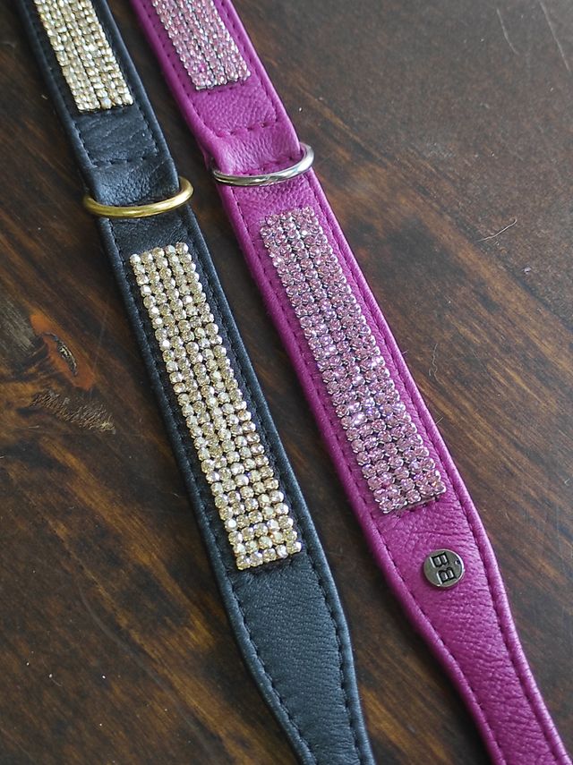 Collar para perro brillantes NUEVO