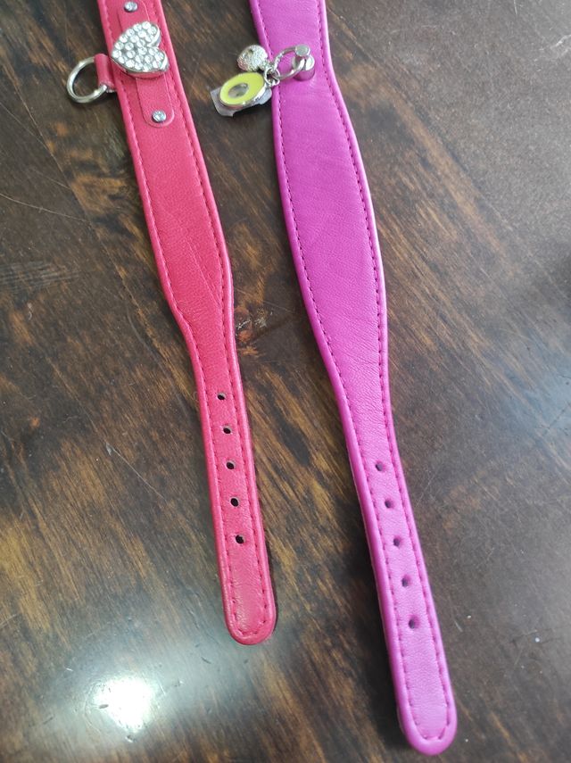 Collar Swarovski para perro NUEVO