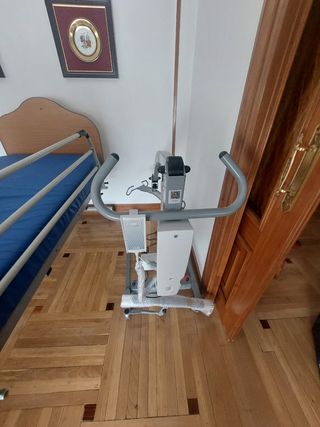 Grua electrica  ENVIO INCLUIDO