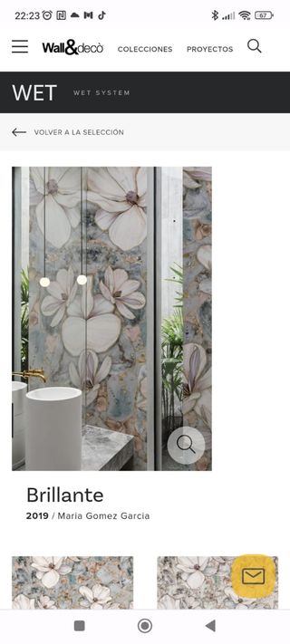 PINTOR - ALISADO DE PAREDES