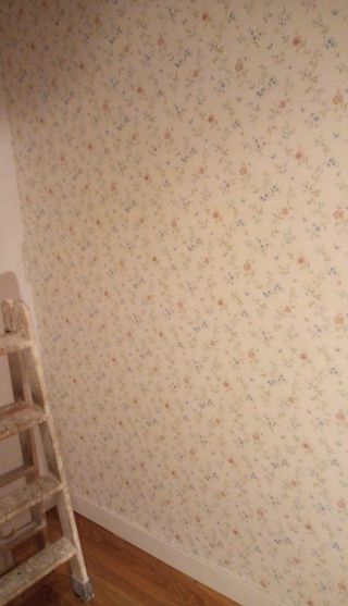 PINTOR - ALISADO DE PAREDES