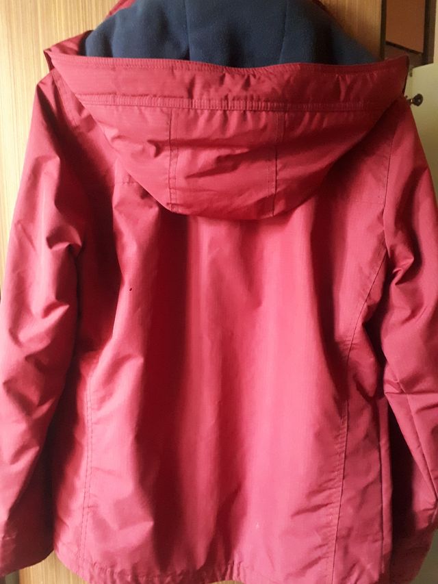 Parka hollister granate