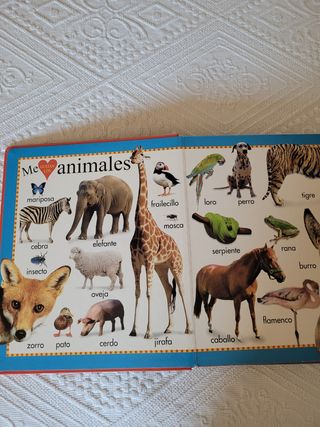 Lote libros de inglés para niños