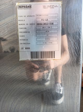 Freidora eléctrica REPAGAS