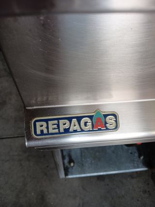 Freidora eléctrica REPAGAS