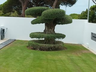 se realiza trabajos de jardinería