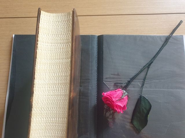 "Institucions del furs" Pere Jeroni Taraçona