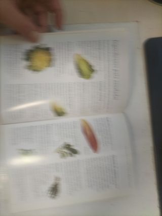 Ensaladas. Cocina fácil.