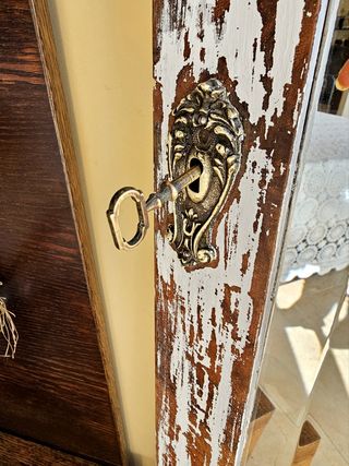 Espejo Vintage Cuerpo Entero de Puerta Armario