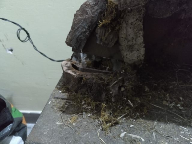 Cueva del portal de Belén