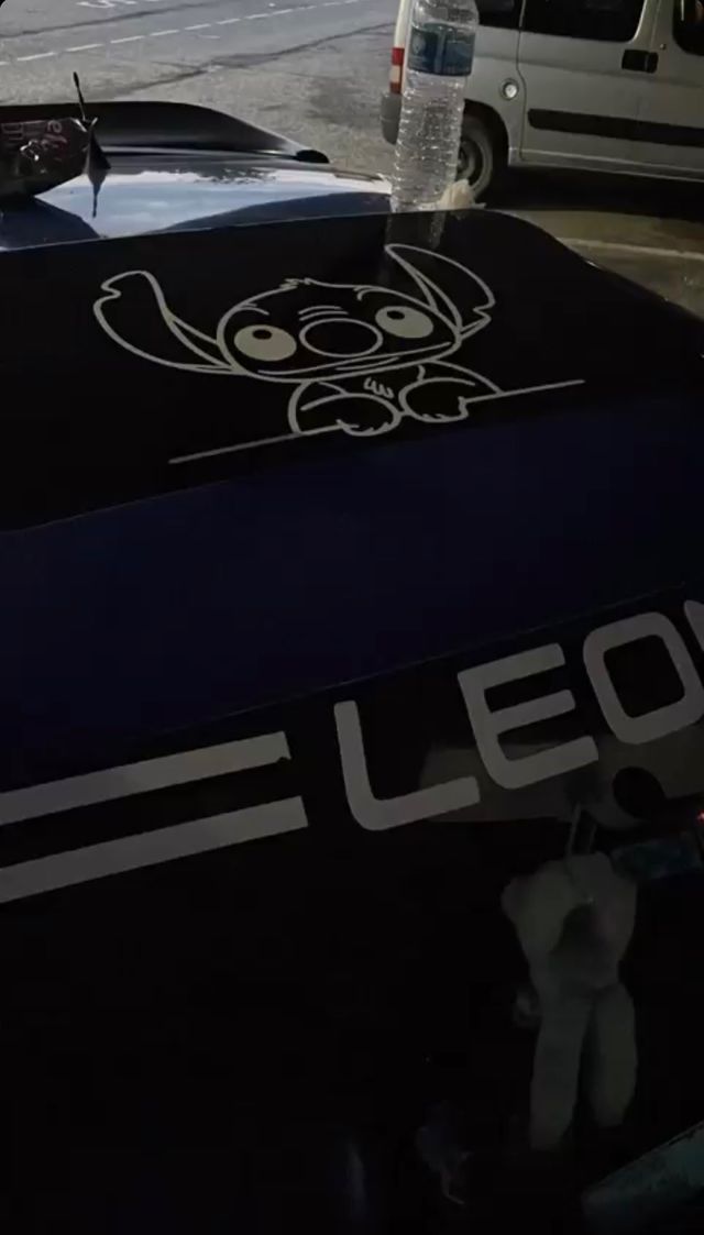 Pegatinas personalizadas coche