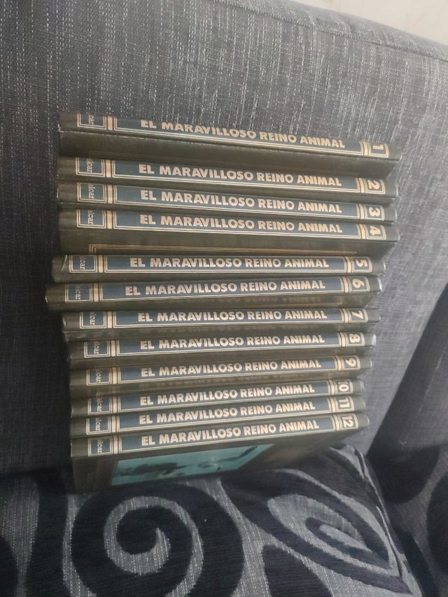 Enciclopedia Il meraviglioso regno animale