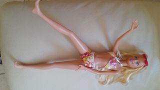 Barbie Serfista
