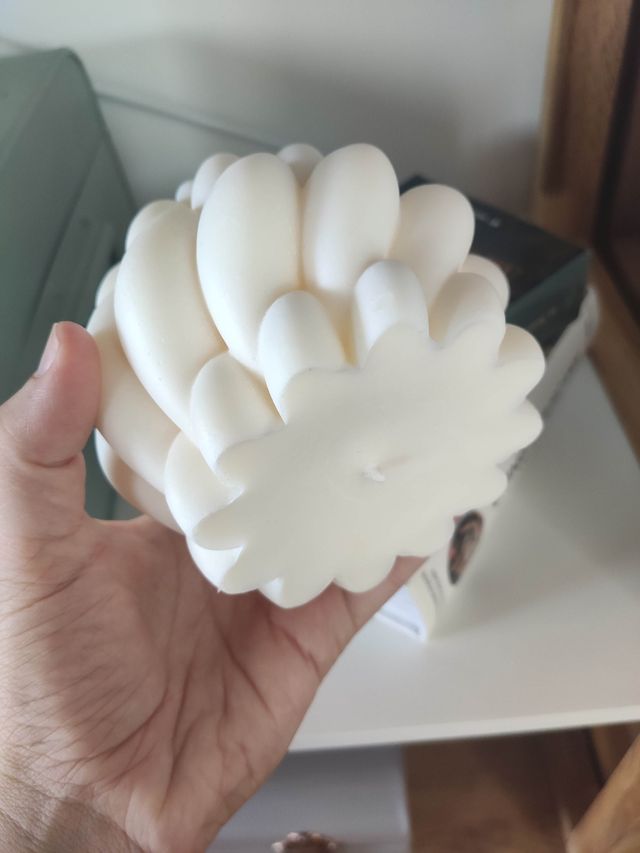 Velas casera de soja (100% vegetal)