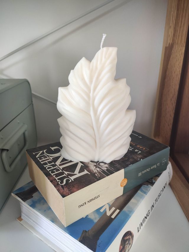 Velas casera de soja (100% vegetal)