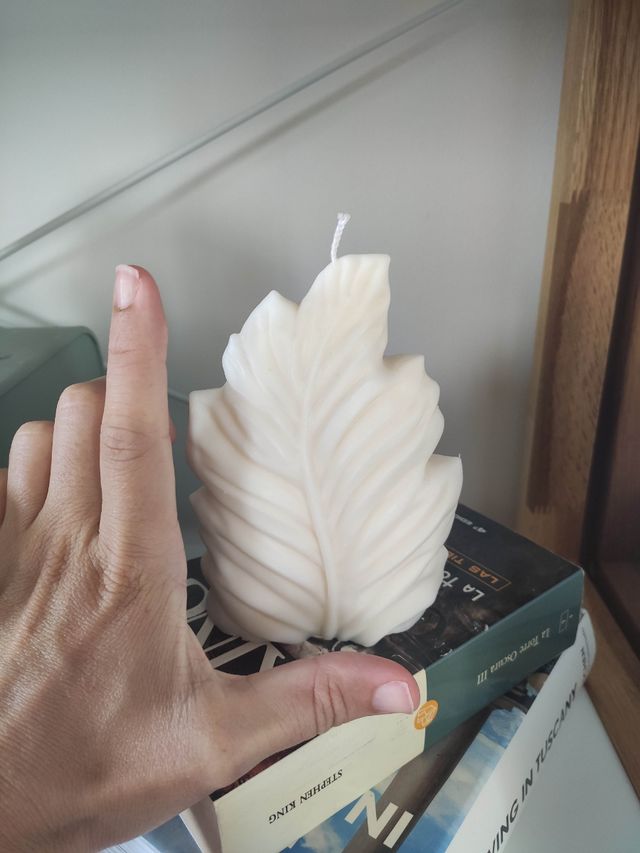 Velas casera de soja (100% vegetal)