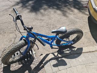 Bicicleta unises con ruedas gordas