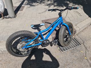 Bicicleta unises con ruedas gordas