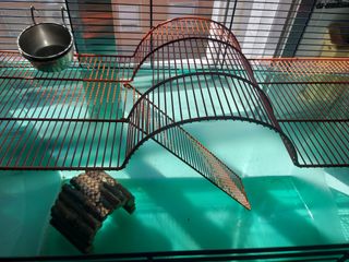 Jaula para jerbos y hamster