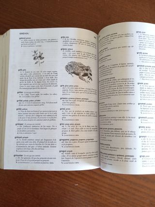 Diccionari Practic d'us del Valencia