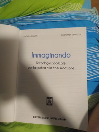 "immaginando" libro per la grafica