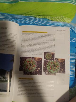 "immaginando" libro per la grafica