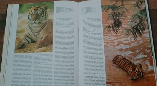 Enciclopedia  Historia Natural