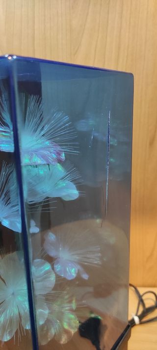 Lampada decorativa con fiori luminosi