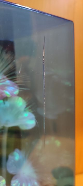 Lampada decorativa con fiori luminosi