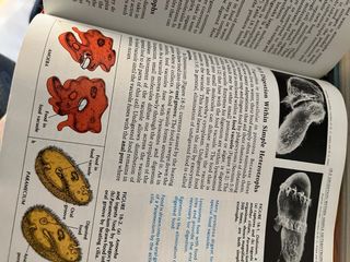 Libro de biologia en inglés