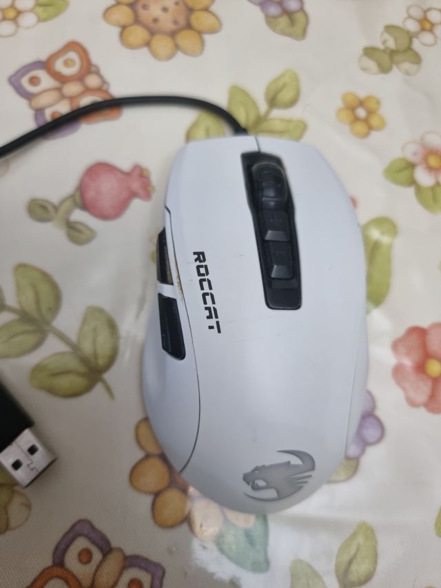 Mouse gaming