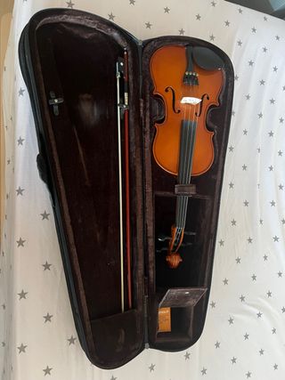 violin