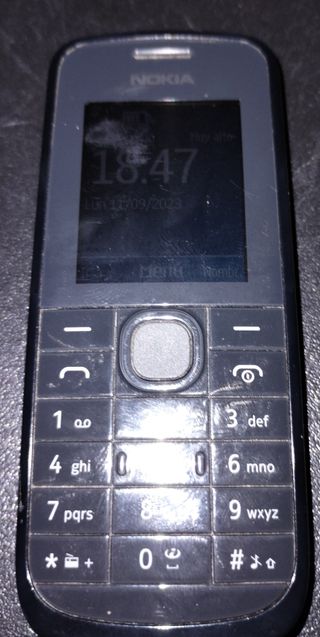 Nokia 113