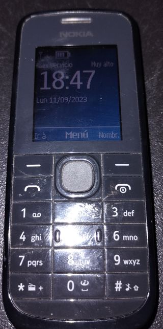 Nokia 113