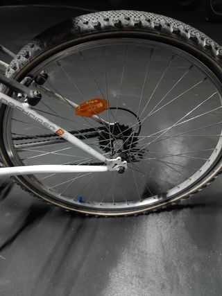 Bicicleta Rochrider Vitamina R. Talla S