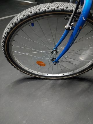 Bicicleta Rochrider Vitamina R. Talla S