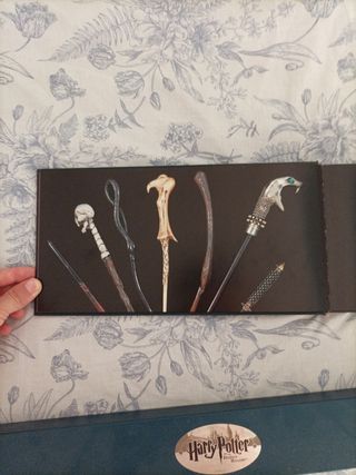 varita y libro Harry Potter