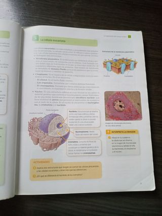 Biología y geología 3 eso santillana