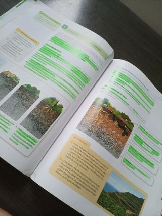 Biología y geología 3 eso santillana