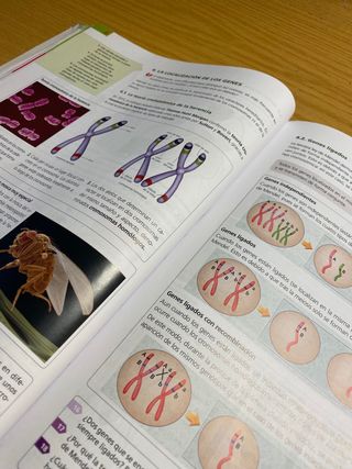 BIOLOGÍA Y GEOLOGÍA 4 ESO